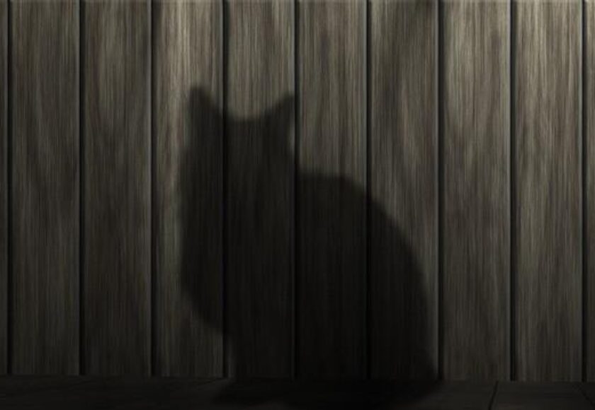 cat-233367_640_1024x1024
